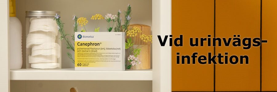 Canephrone toppbanner