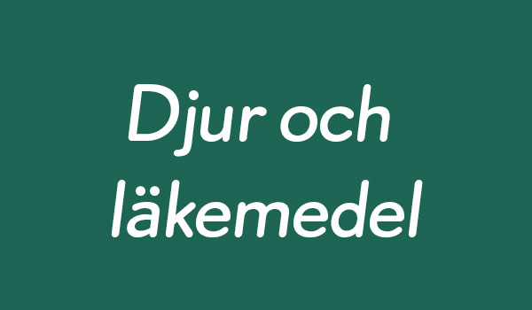 djur-och-lakemedel.jpg