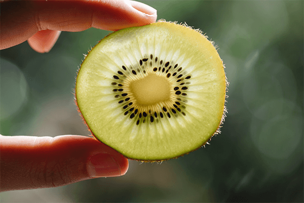 Händer som håller fram en skiva kiwi