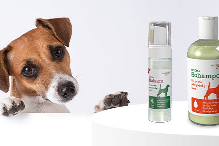 En hund tittar fram bakom en vit yta, med Allergenius produkter för hundvård (balsam och schampo) synliga bredvid.